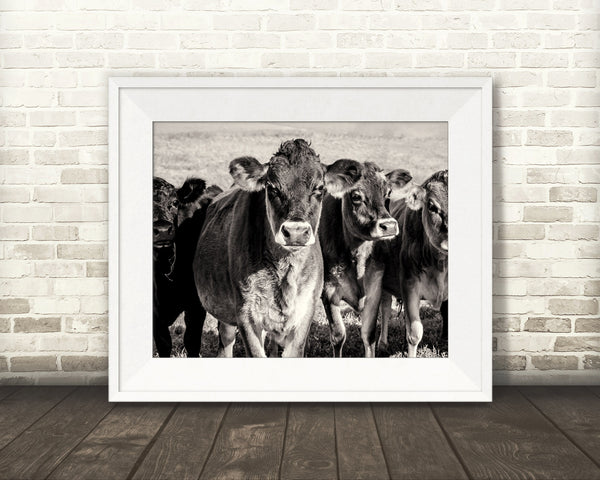 Jersey Cow Photograph Sepia