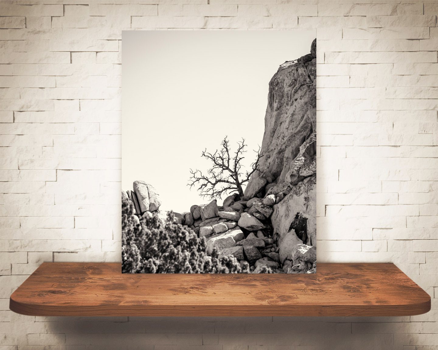 Desert Rock Landscape Photograph Sepia