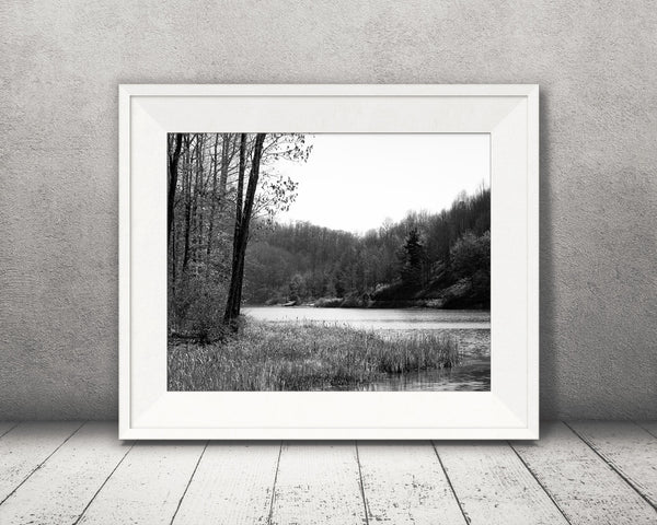Fall Lake Tree Photograph Black White
