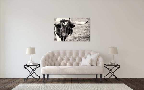 Longhorn Cow Photograph Sepia