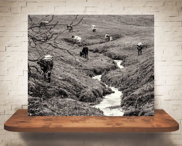 Longhorn Cow Photograph Sepia