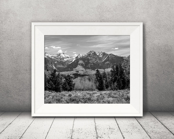 Mountain Range and Trees Photograph Black White