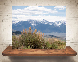 Sagebrush and Mountain Photograph