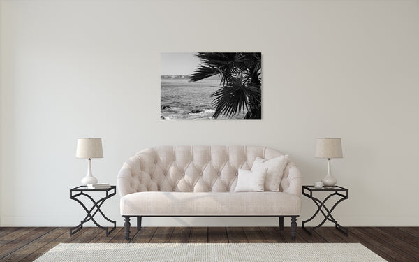Palm Tree Oceanview Photograph Black White