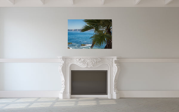Palm Tree Oceanview Photograph