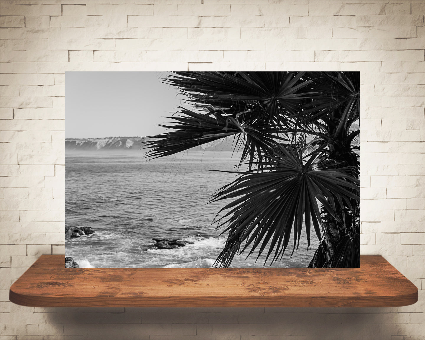 Palm Tree Oceanview Photograph Black White