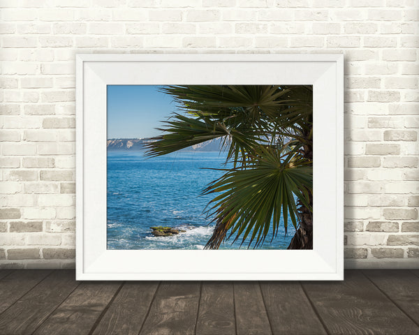Palm Tree Oceanview Photograph