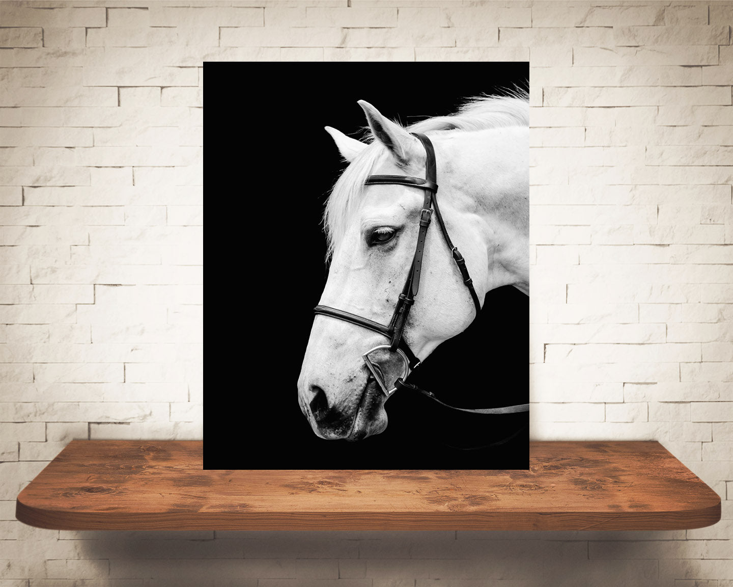 White Horse Photograph Black White
