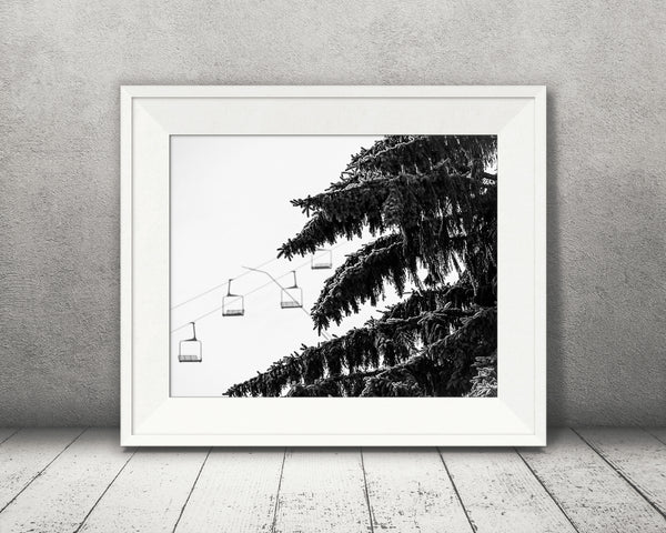 Pine Tree Ski Lift Photograph Black White