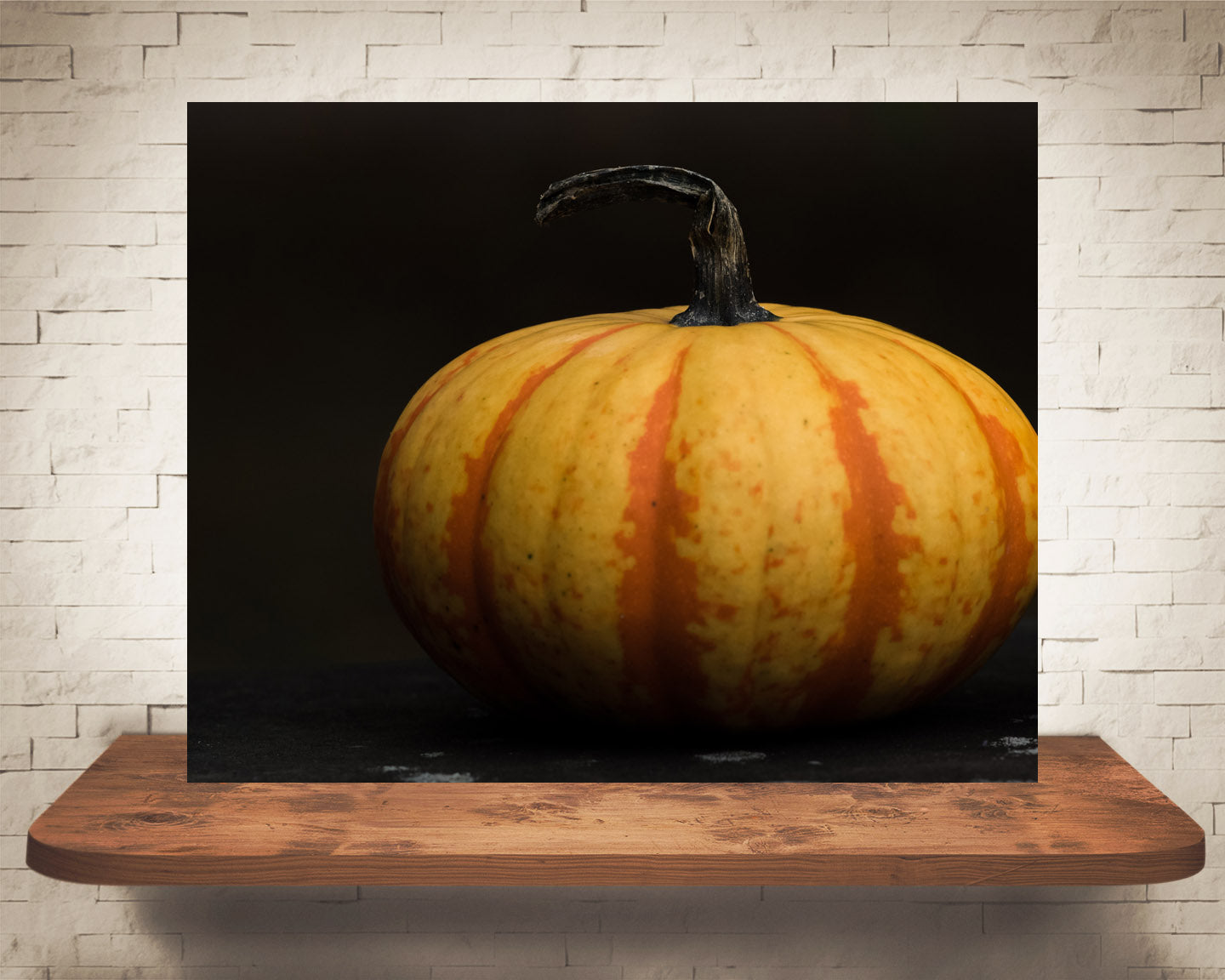 Pumpkin Photograph