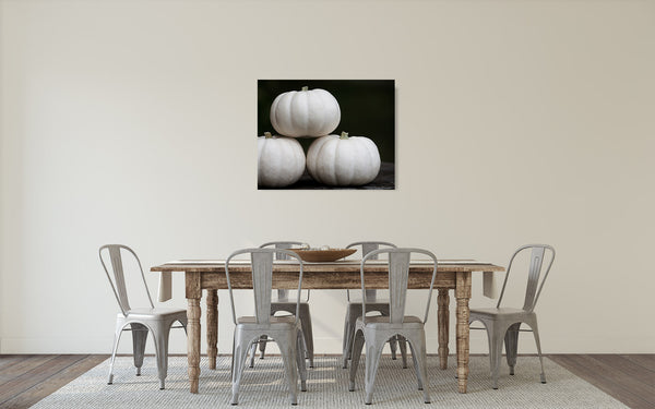 White Pumpkin Photograph