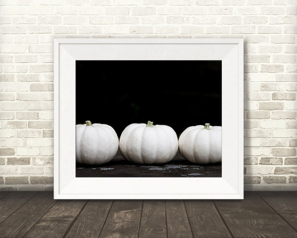 White Pumpkin Photograph