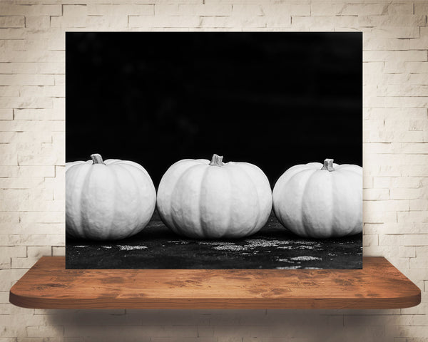 Pumpkin Photograph Black White