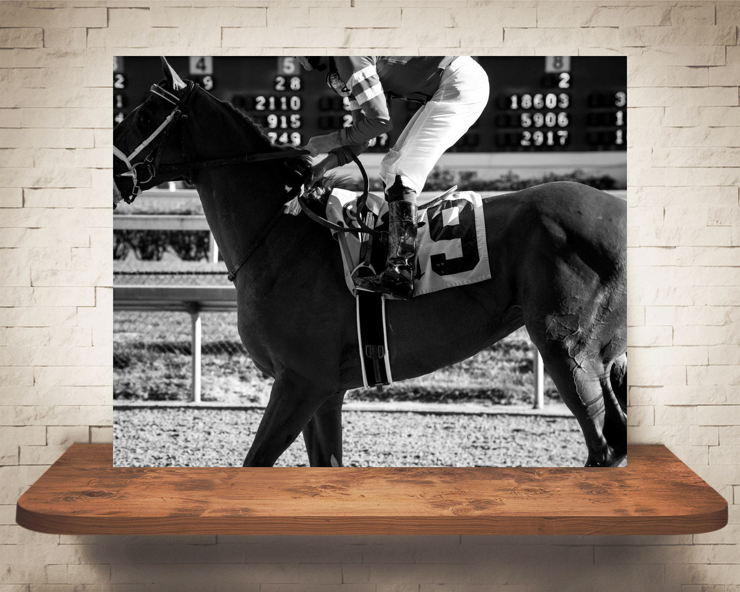Race Horse Photograph Black White