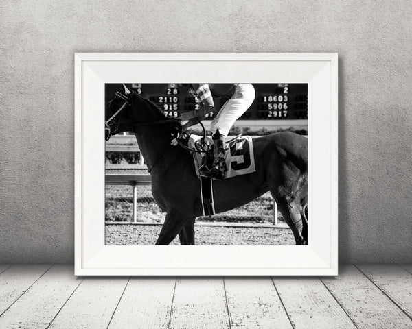 Race Horse Photograph Black White