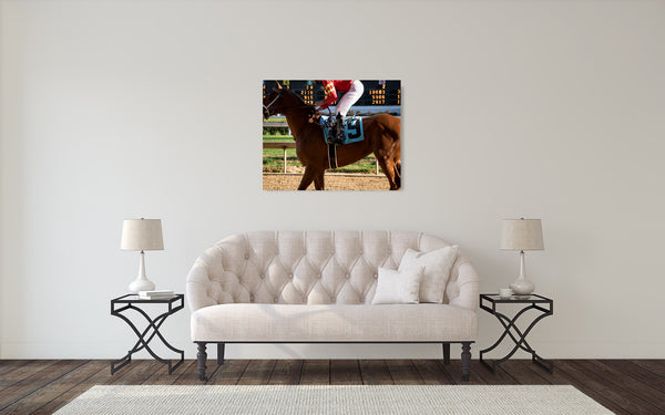 Race Horse Photograph