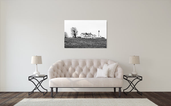 Sheep Farm Photograph Black White