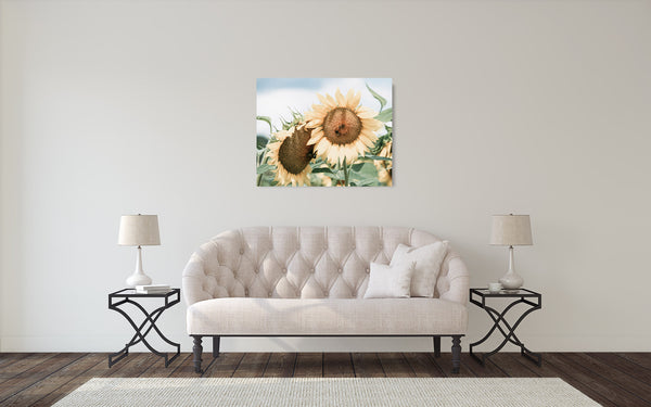 Yellow Sunflower Bee Photograph