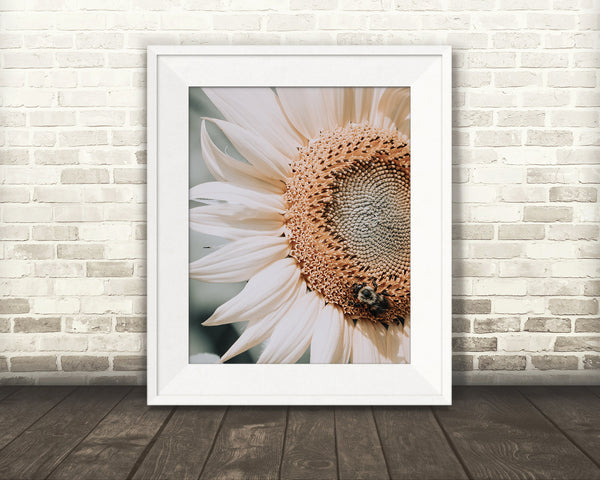 Sunflower Bee Photograph