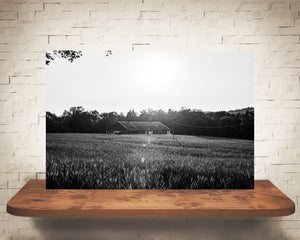 Cornfield Sunset Photograph Black White