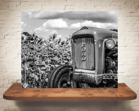 Tractor Sunflower Photograph Black White