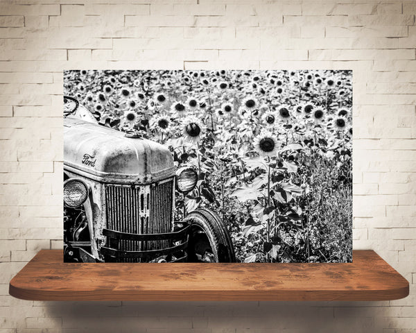 Tractor Sunflower Photograph Tractor