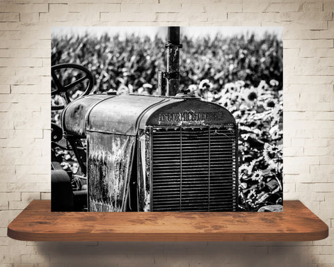 Tractor Sunflower Photograph Black White
