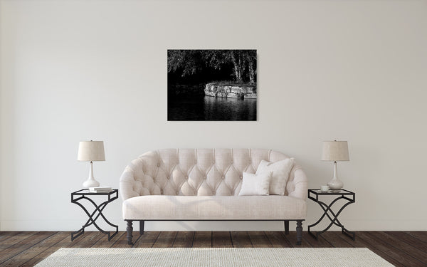 Tree Lake Photograph Black White