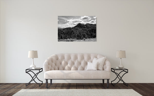 Mountain Trees Photograph Black White