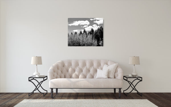 Mountain Trees Photograph Black White