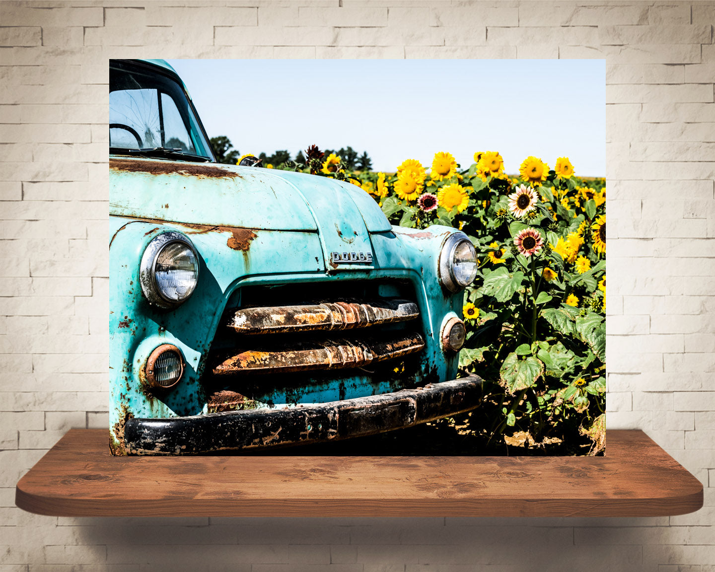 Old Truck Sunflowers Photograph