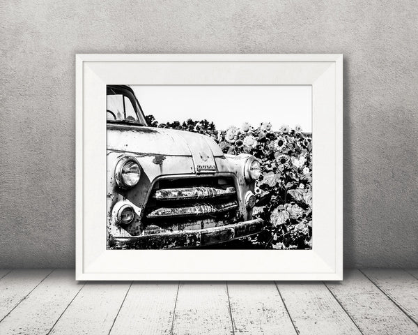 Old Truck Sunflowers Photograph Black White
