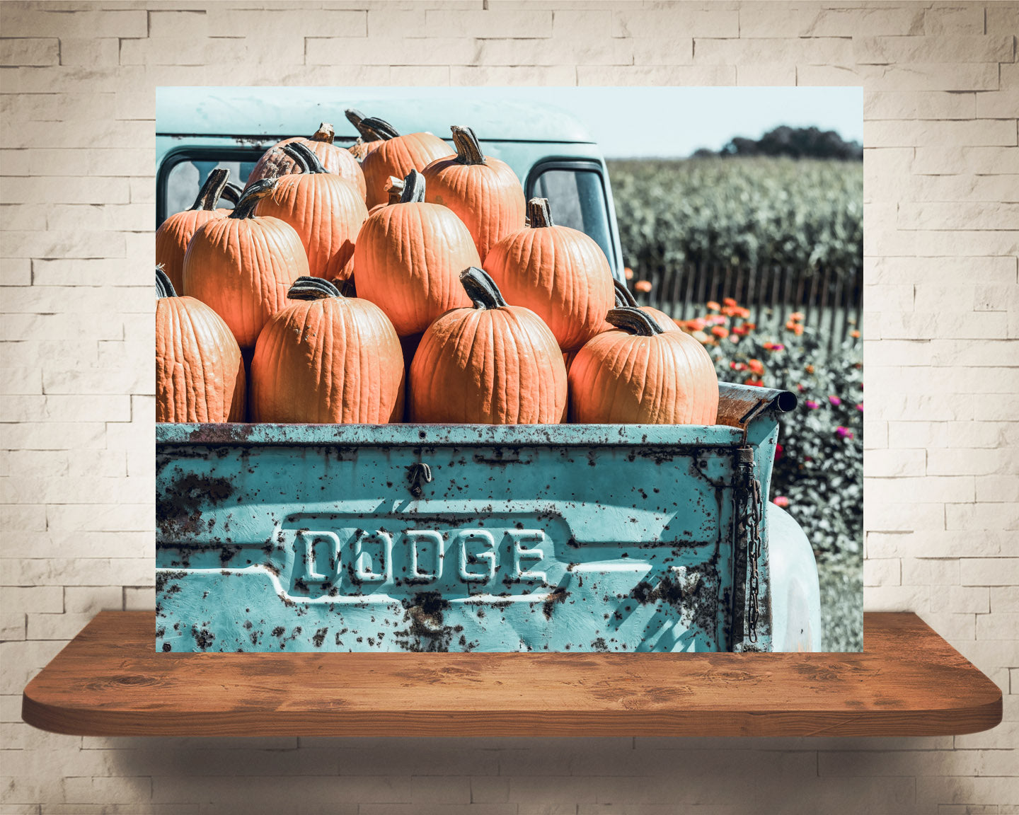 Blue Truck Pumpkins Photograph