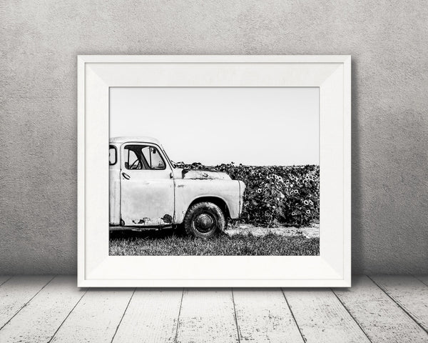 Old Truck Sunflowers Photograph Black White