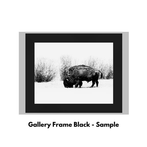 Frame Add on for Prints Only