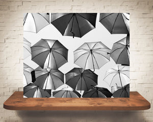 Umbrella Photograph Black White