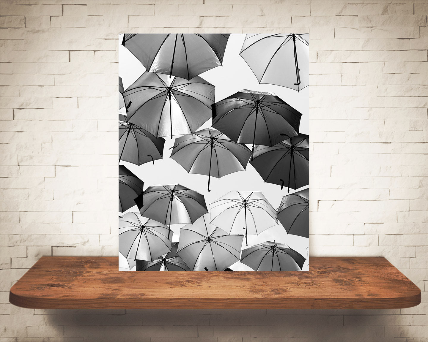 Umbrella Photograph Black White