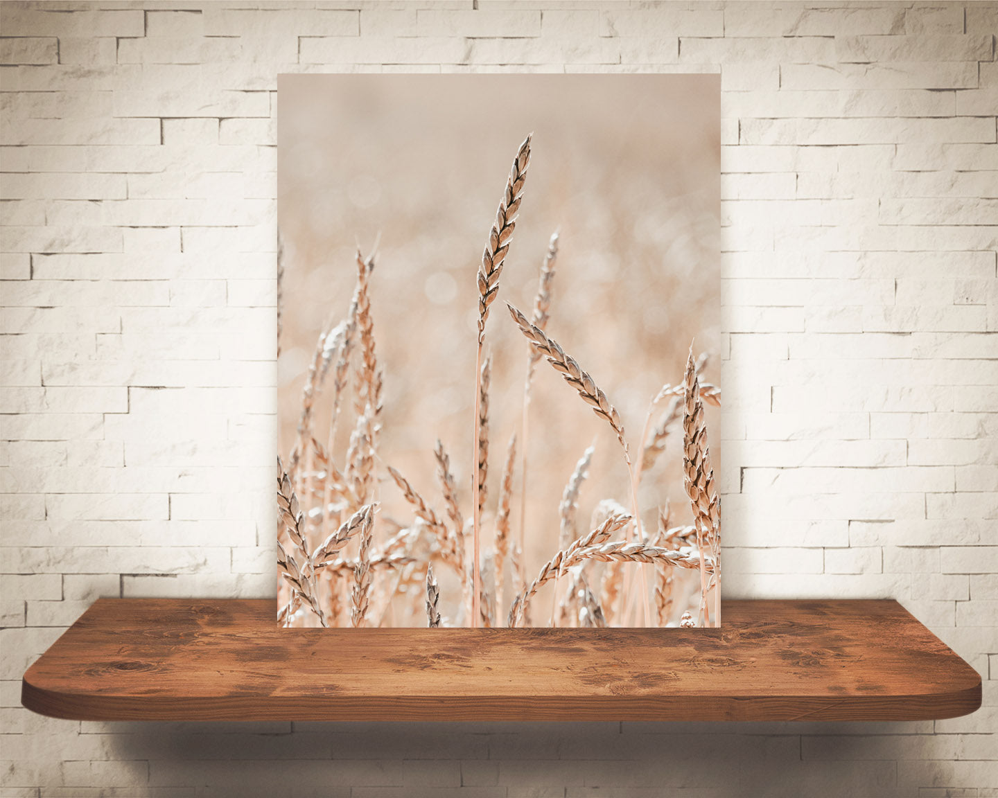 Wheat Photograph