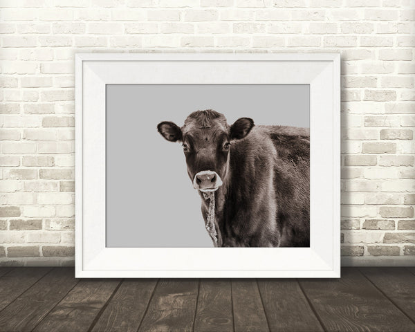 Jersey Cow Photograph Brown Tone