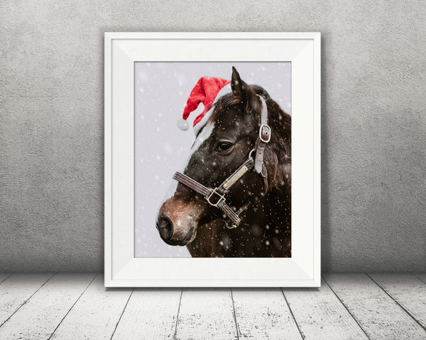 Horse Christmas Photograph Snow