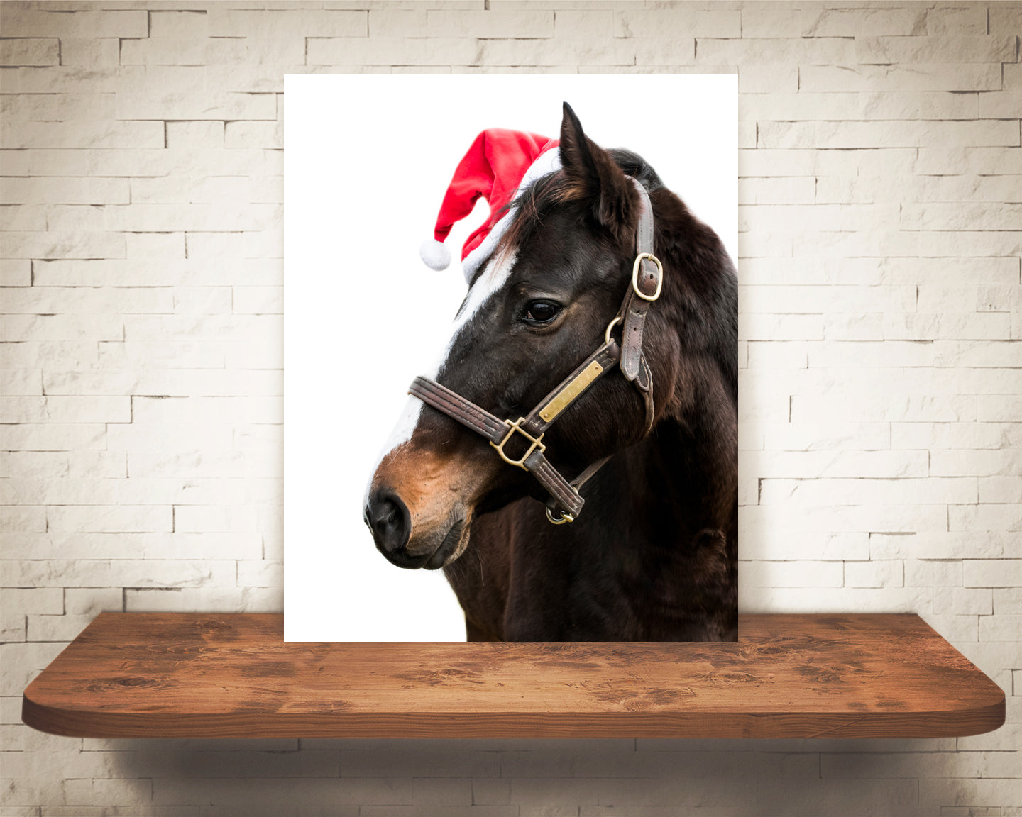 Horse Christmas Photograph
