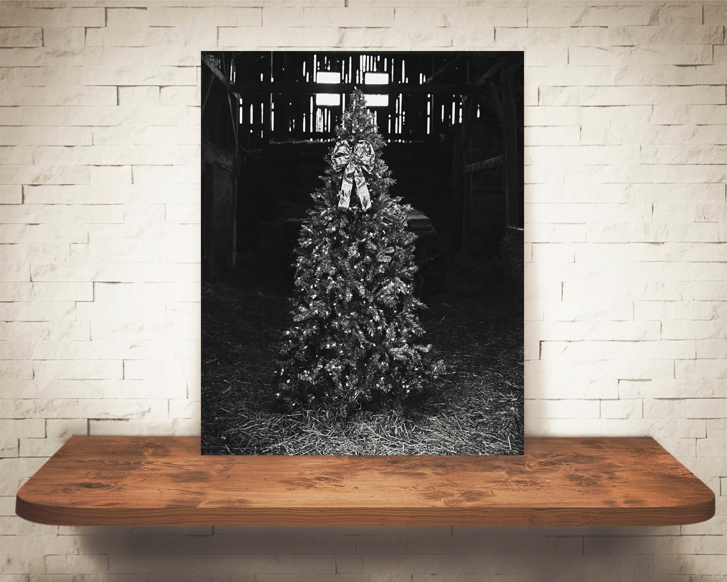 Christmas Tree Photograph Black White