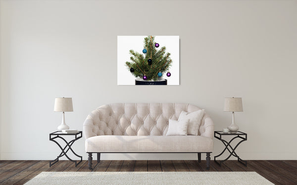 Christmas Tree Photograph