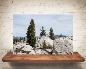 Yellowstone Photograph