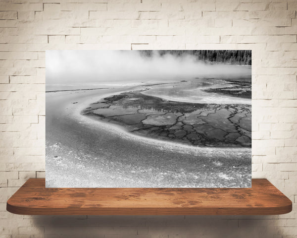 Yellowstone Photograph Black White