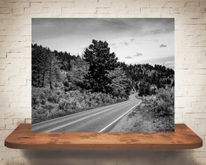Yellowstone Road Photograph Black White