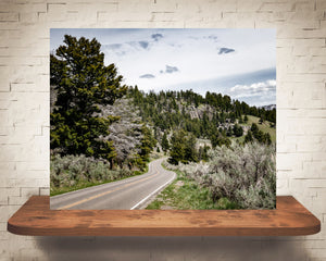 Yellowstone Road Photograph