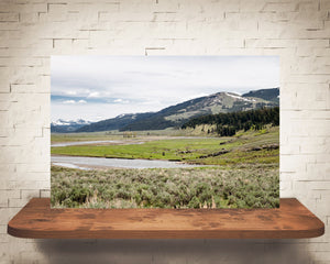 Yellowstone River Photograph