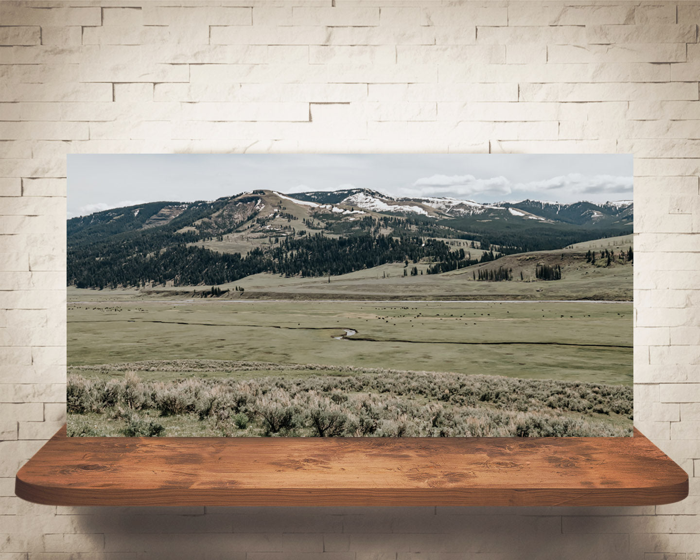 Yellowstone Photograph