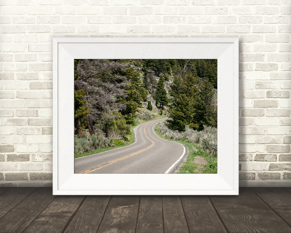 Yellowstone Road Photograph
